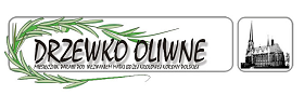 Drzewko Oliwne